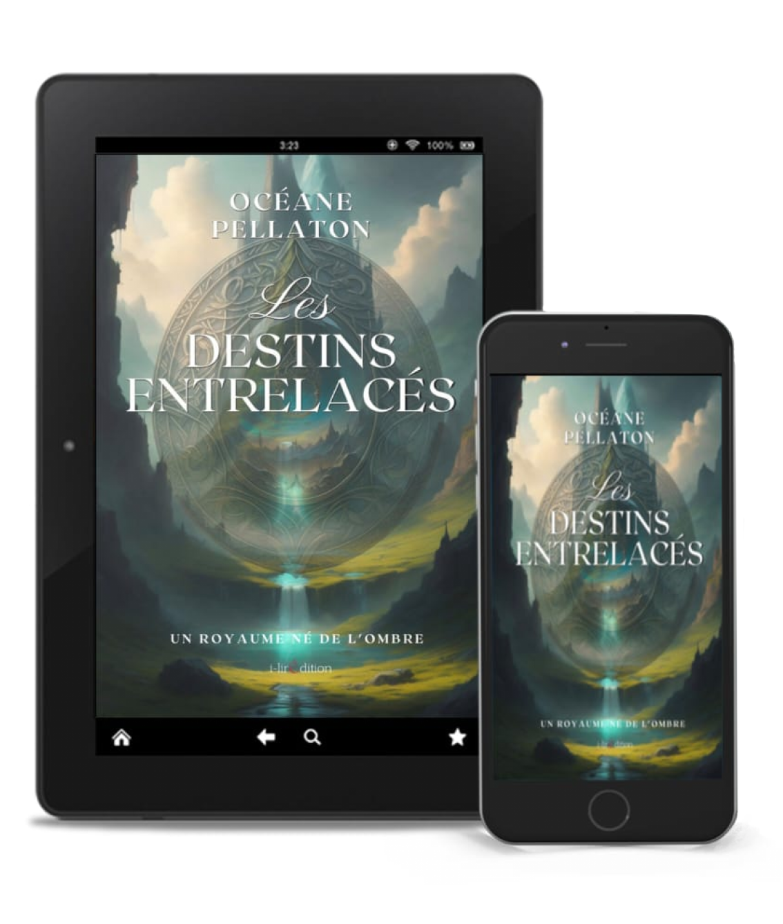 Les Destins Entrelacés - Une Royaume né de l'ombre - Tome 2